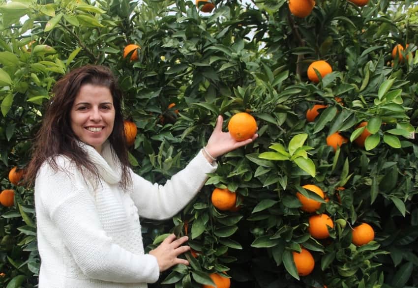 fruticultura
